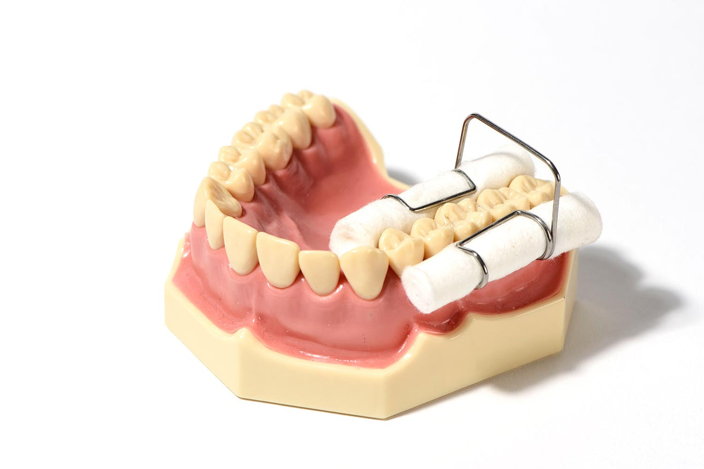 ZT-DENTAL Metal cotton roll holder(1pc)