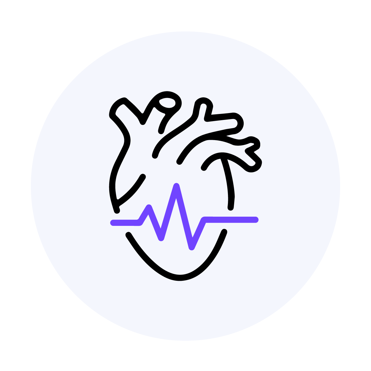 Cardiology & Vascular