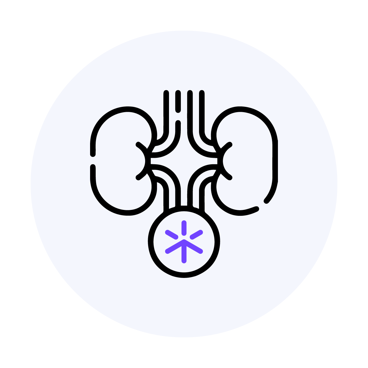 Nephrology & Urology