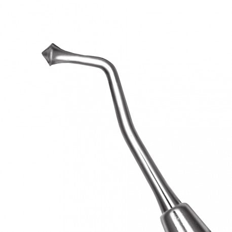 Pakistan Amalgam Anatomical Burnisher