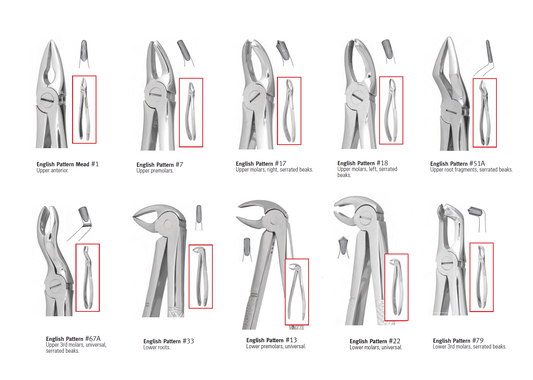 Pakistan Extraction Forceps
