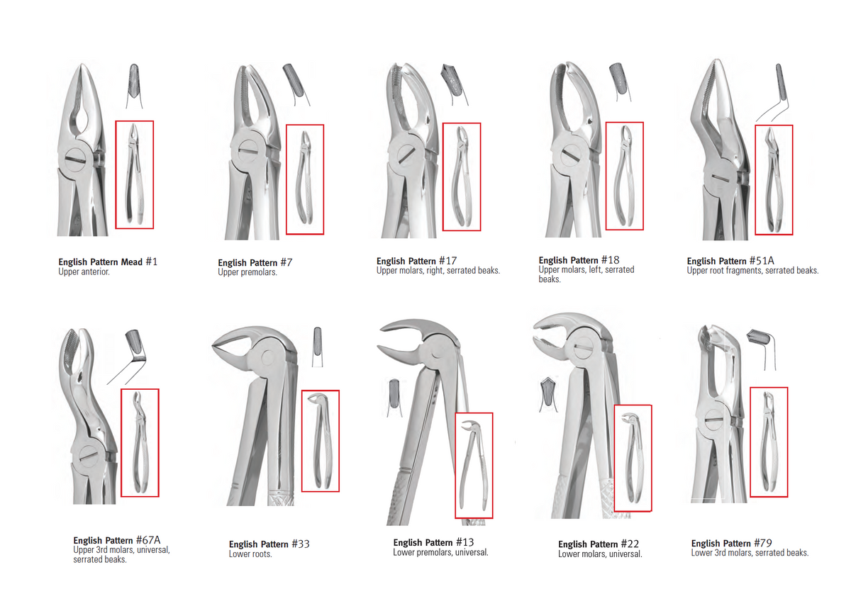 Pakistan Extraction Forceps