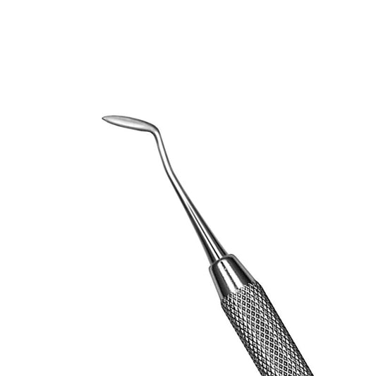 Pakistan Hollenback Amalgam Carver