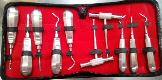 Pakistan Root Elevators Kit (10 pcs)